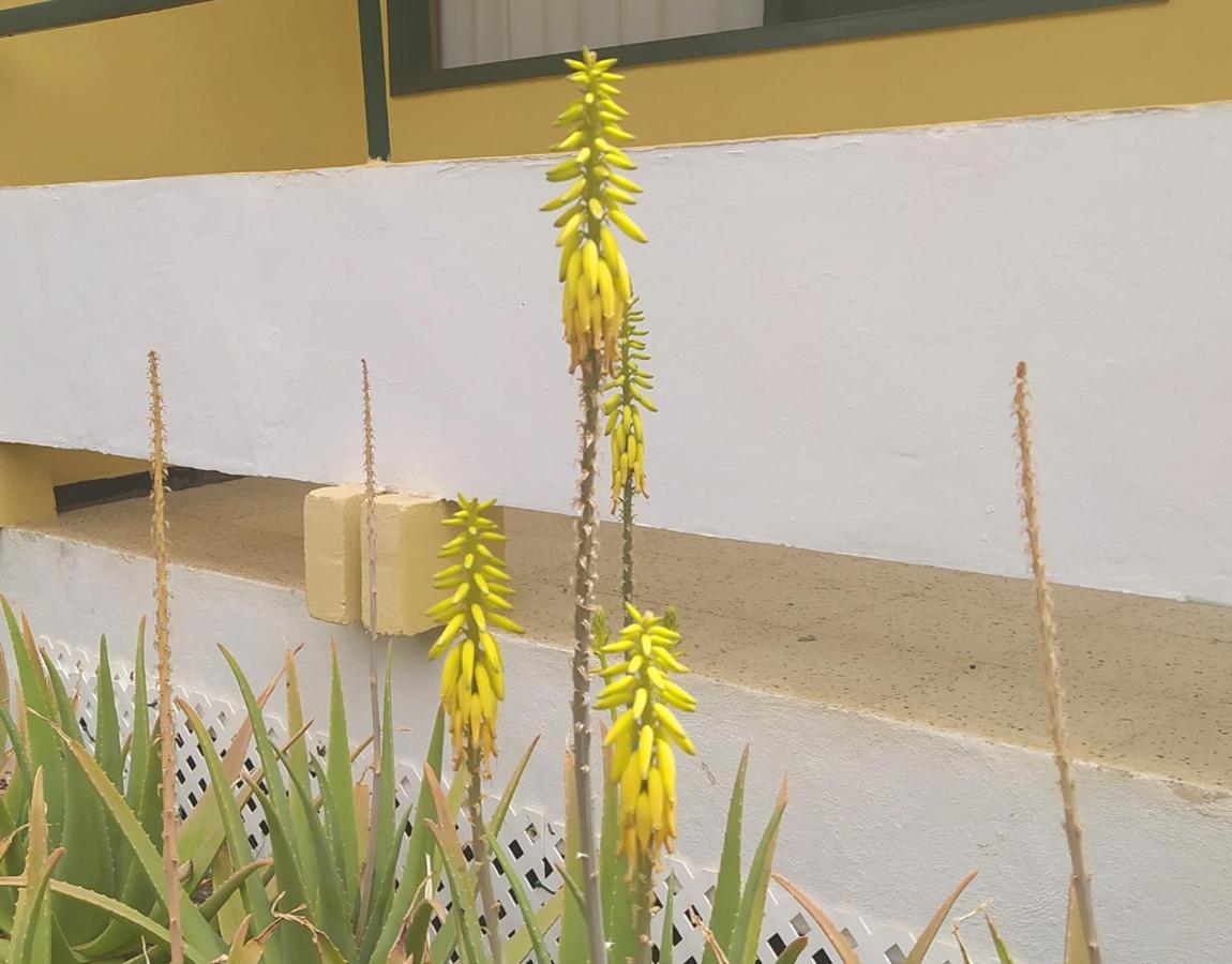 Caroni Daire Playa del Ingles  Dış mekan fotoğraf